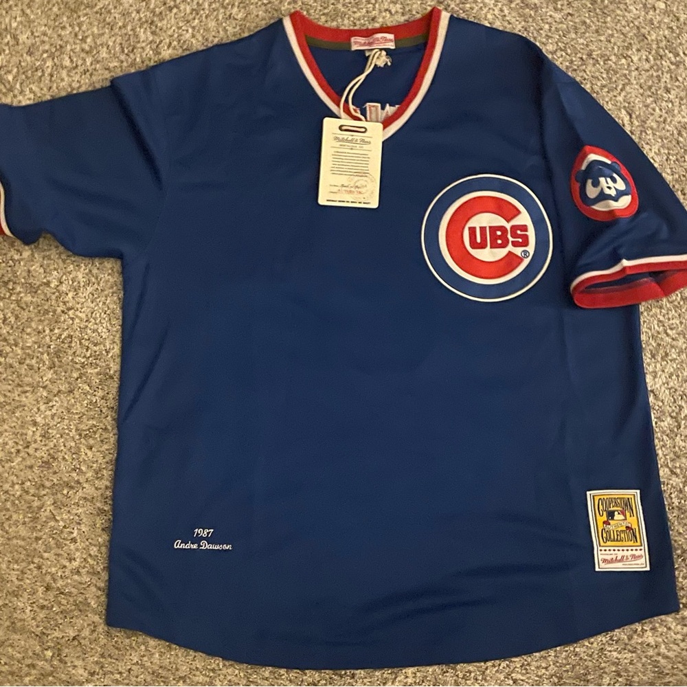 Chicago cubs 1987 Andre Dawson XL jersey